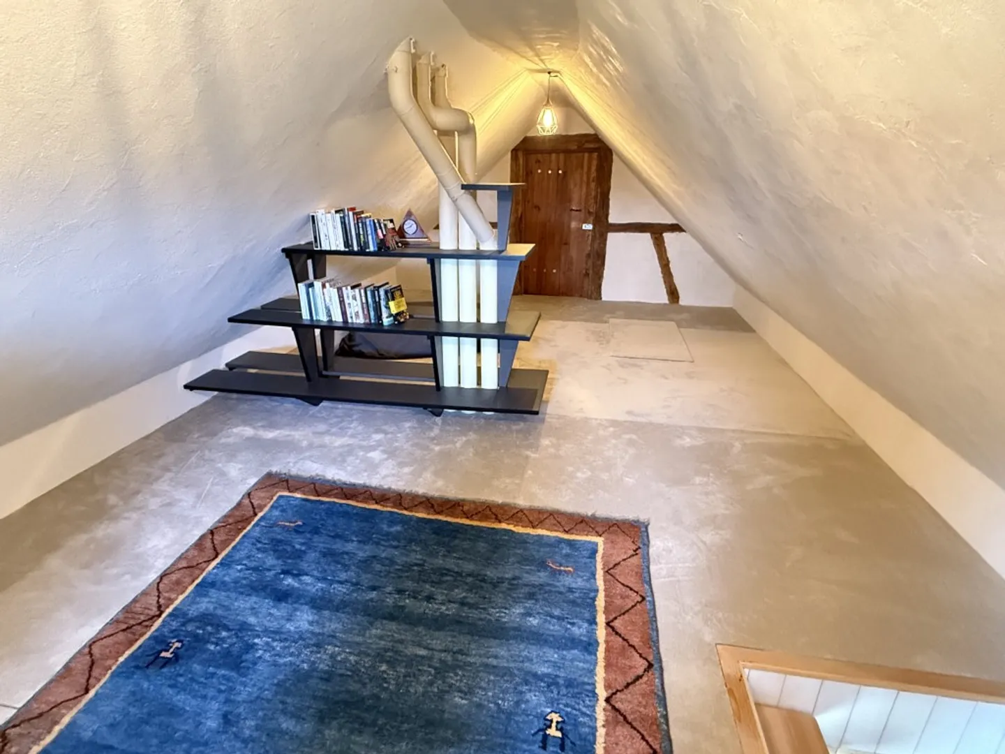 Paradise Right on the Rhine - Photo 12 of 15