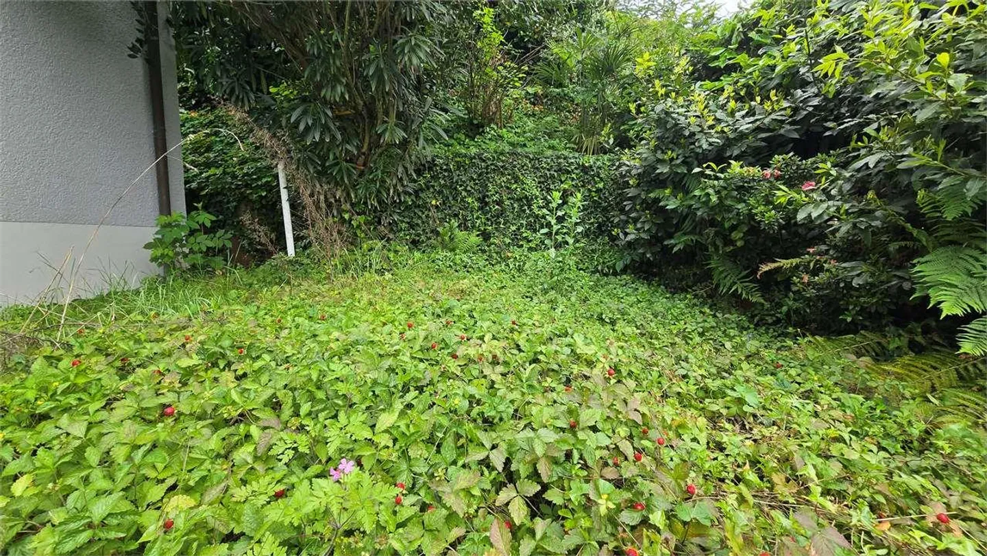 Casa vacanze con vista lago - Appartamento con due camere Lugano - Foto 11 di 11