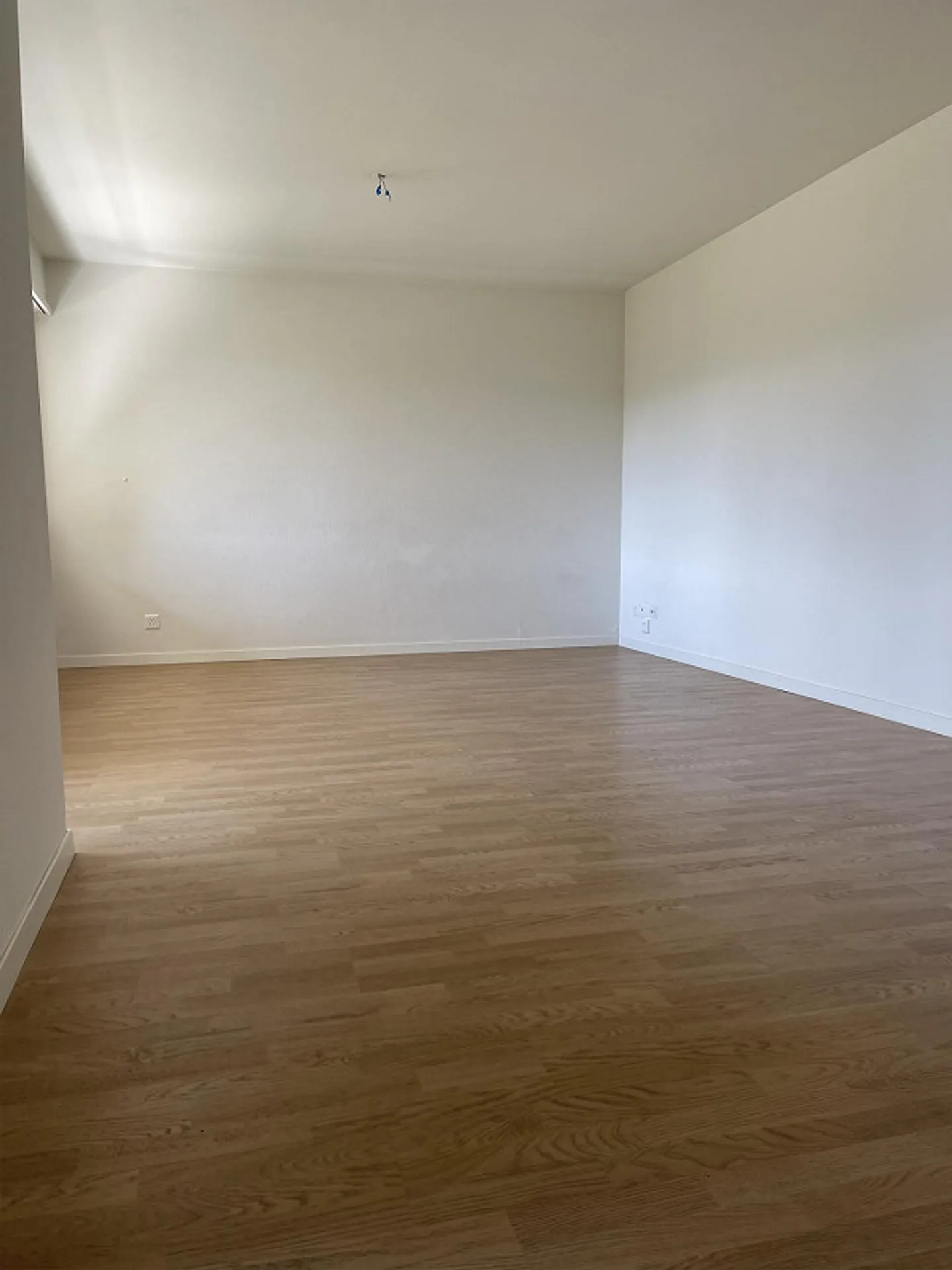 Charmante 3.5-Zimmerwohnung - Foto 3 von 9