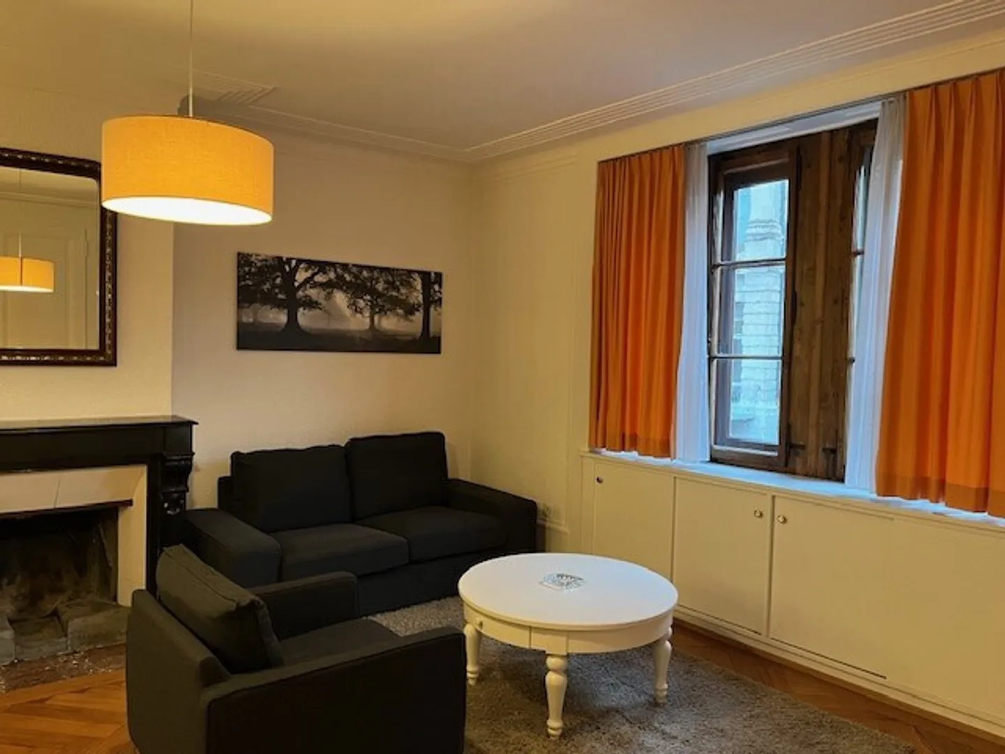 Bel appartement meublé de 3 pièces à Carouge (Genève) - Photo 5 sur 6