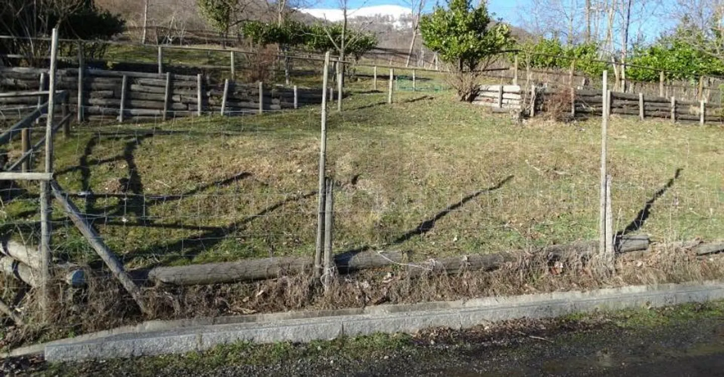 BEREIT FÜR PFERDE - Foto 3 von 5
