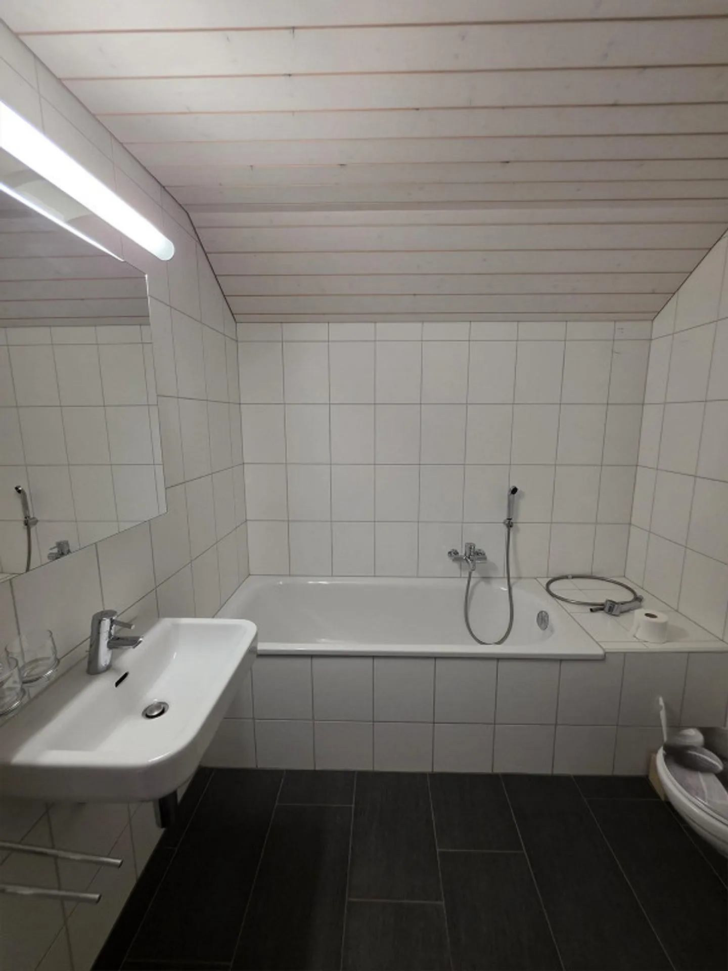 2.5 Room Loft Apartment in the Center of Amriswil - Photo 8 of 12