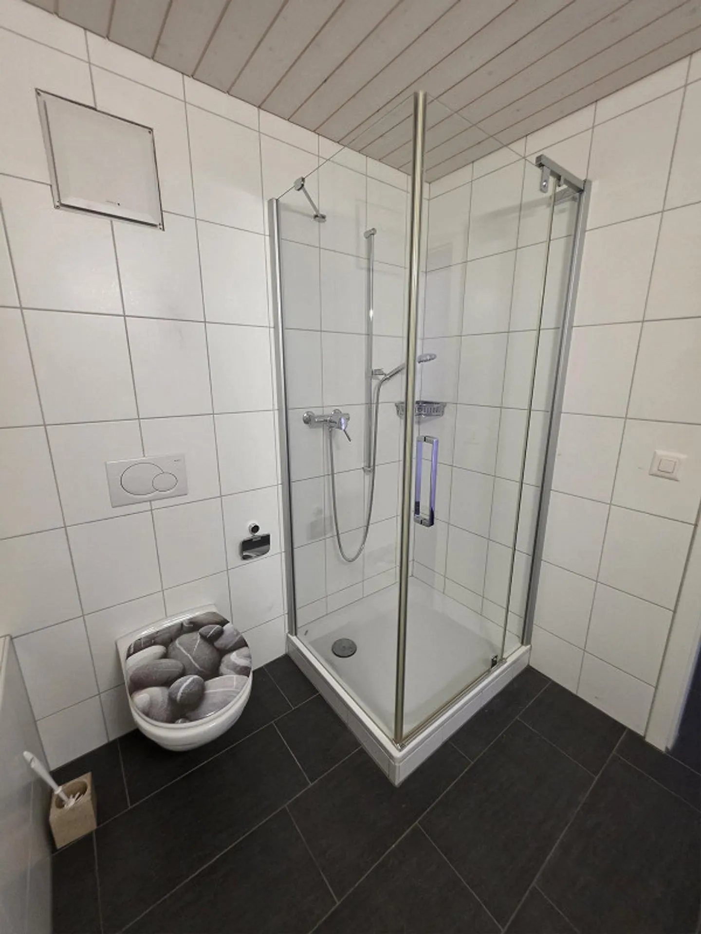 2.5 Room Loft Apartment in the Center of Amriswil - Photo 9 of 12
