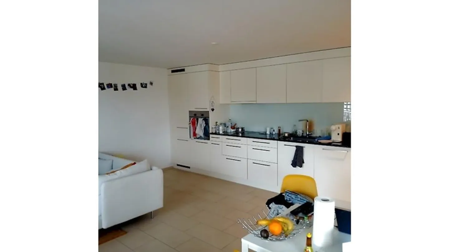 2½ ROOM APARTMENT IN SCHÜBELBACH (ZH), FURNISHED, TEMPORARY - Photo 3 of 8