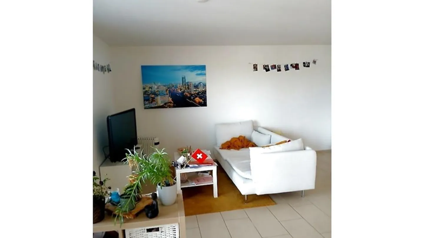 2½ ROOM APARTMENT IN SCHÜBELBACH (ZH), FURNISHED, TEMPORARY - Photo 1 of 8
