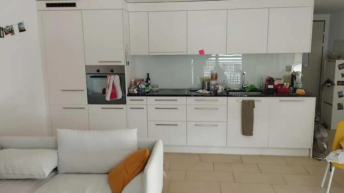 2½ ROOM APARTMENT IN SCHÜBELBACH (ZH), FURNISHED, TEMPORARY - Photo 4 of 8