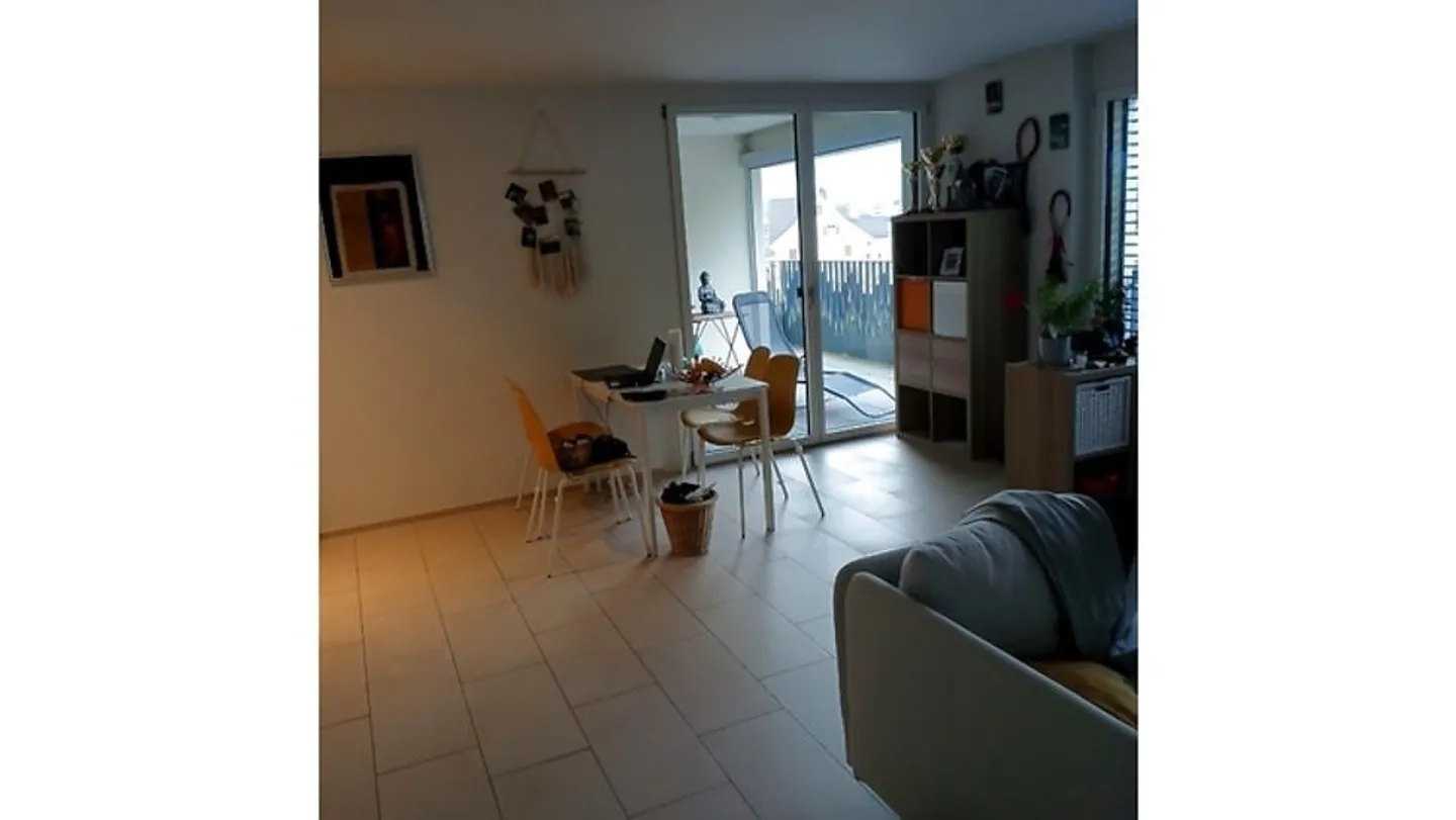 2½ ROOM APARTMENT IN SCHÜBELBACH (ZH), FURNISHED, TEMPORARY - Photo 5 of 8