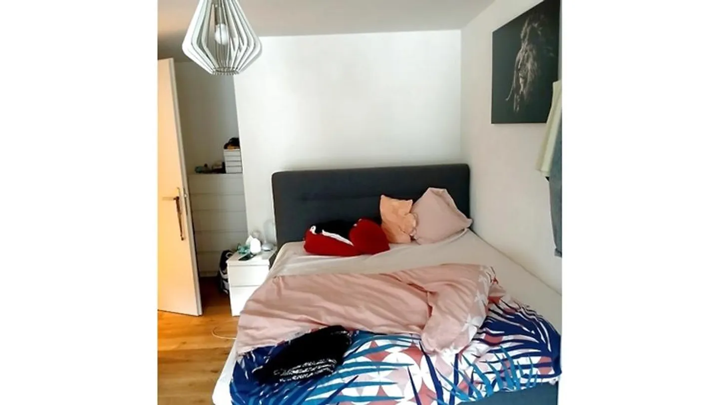 2½ ROOM APARTMENT IN SCHÜBELBACH (ZH), FURNISHED, TEMPORARY - Photo 6 of 8