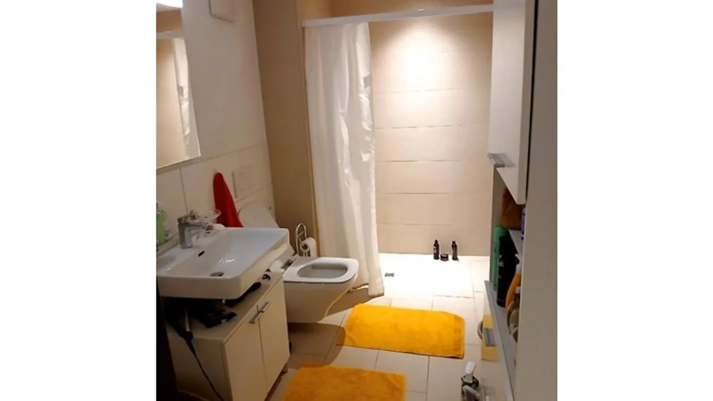 2½ ROOM APARTMENT IN SCHÜBELBACH (ZH), FURNISHED, TEMPORARY - Photo 7 of 8