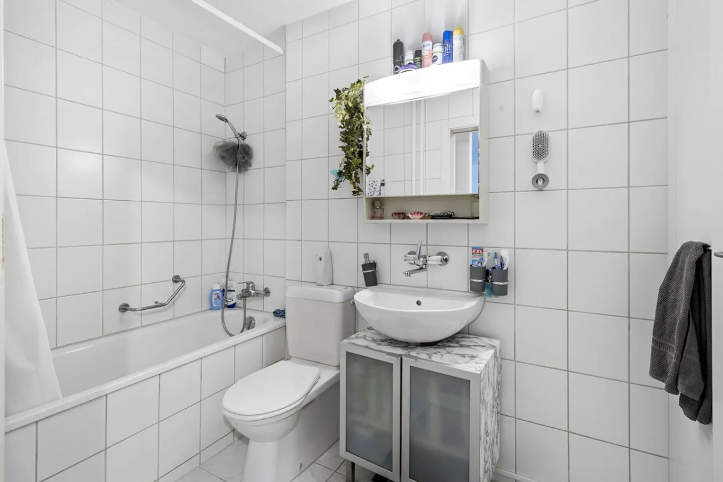 Fully Rented Multi-Family House in the Bern Agglomeration - Photo 6 of 7