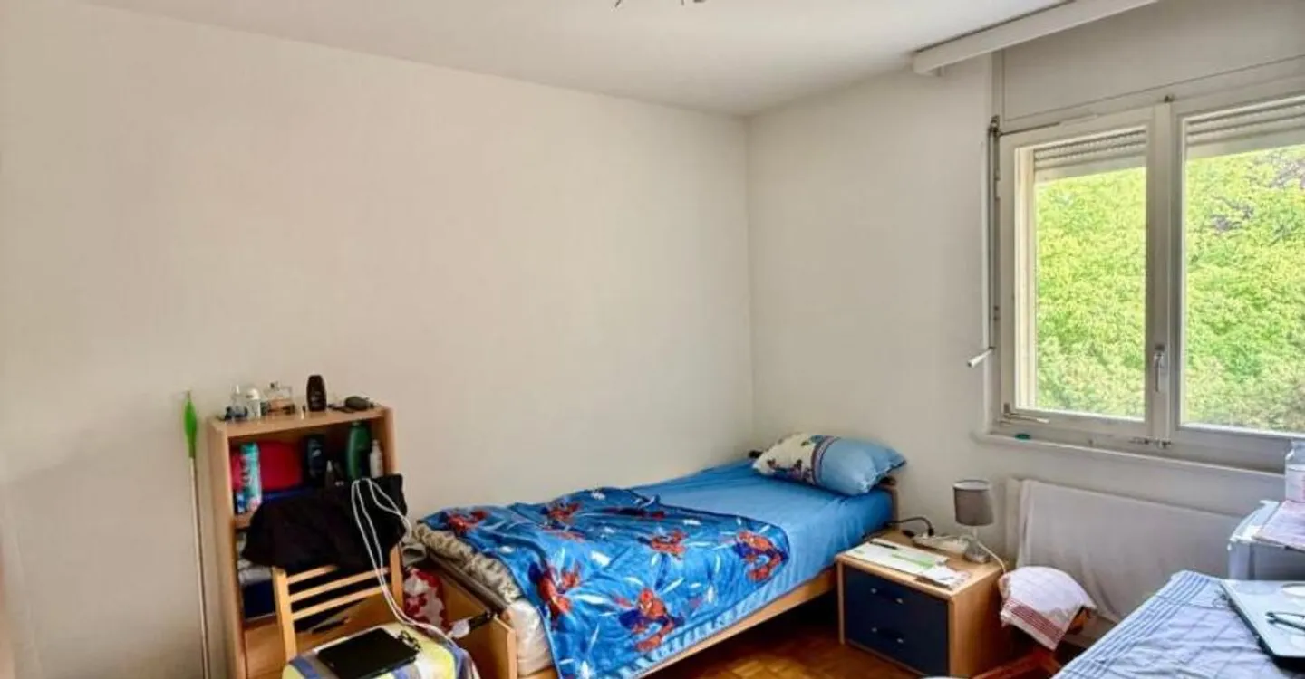 BRIGHT APARTMENT OF 5 ROOMS, 119 M2, SION - Photo 8 of 13