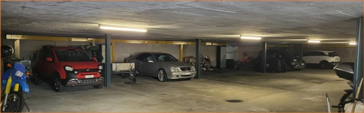 MINUSIO - 4.5 Room Apartment for Rent - Photo 13 of 14