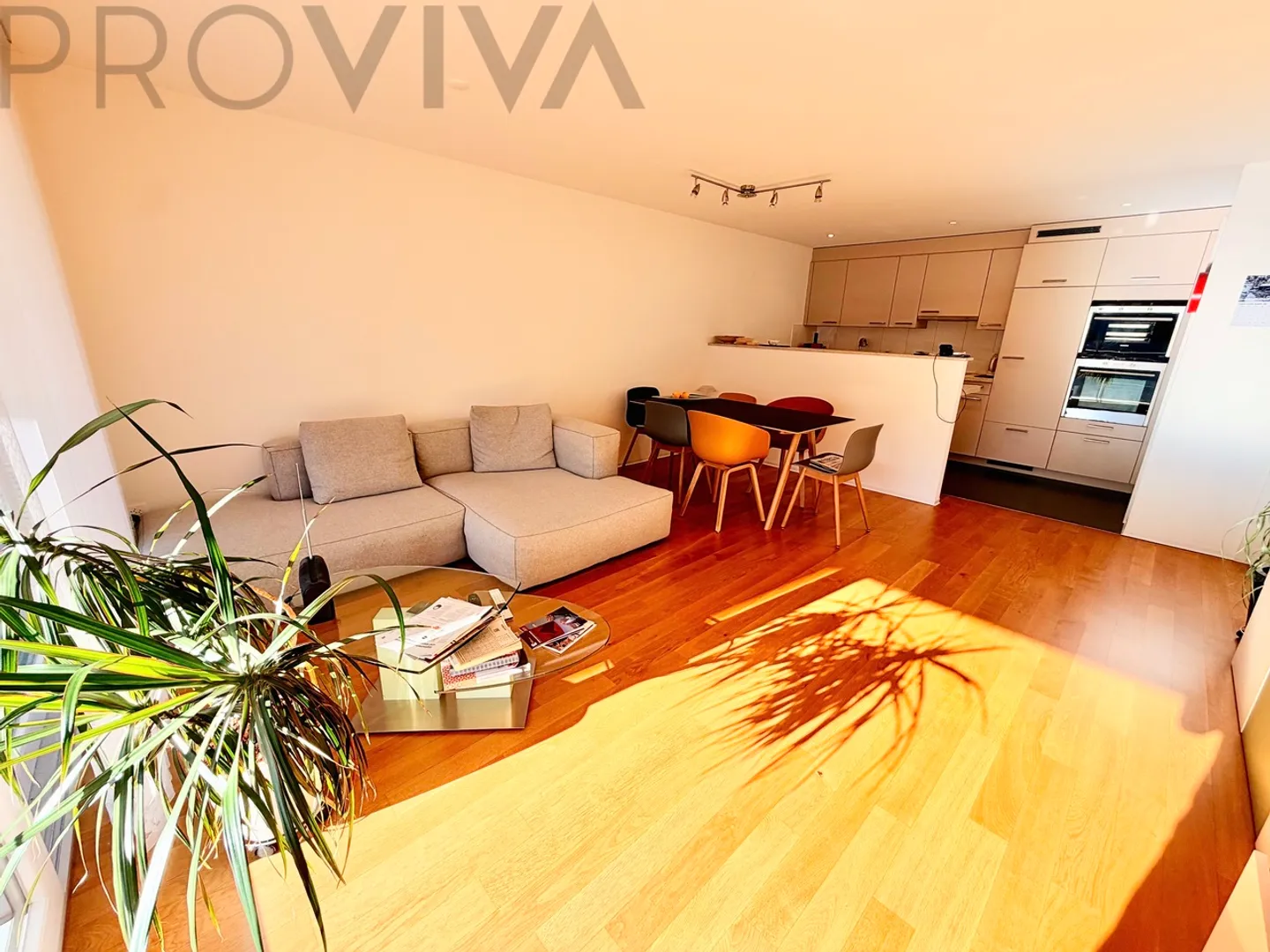 Combinazione di tranquillità, molta luce, vista e terrazza soleggiata - Foto 1 di 7