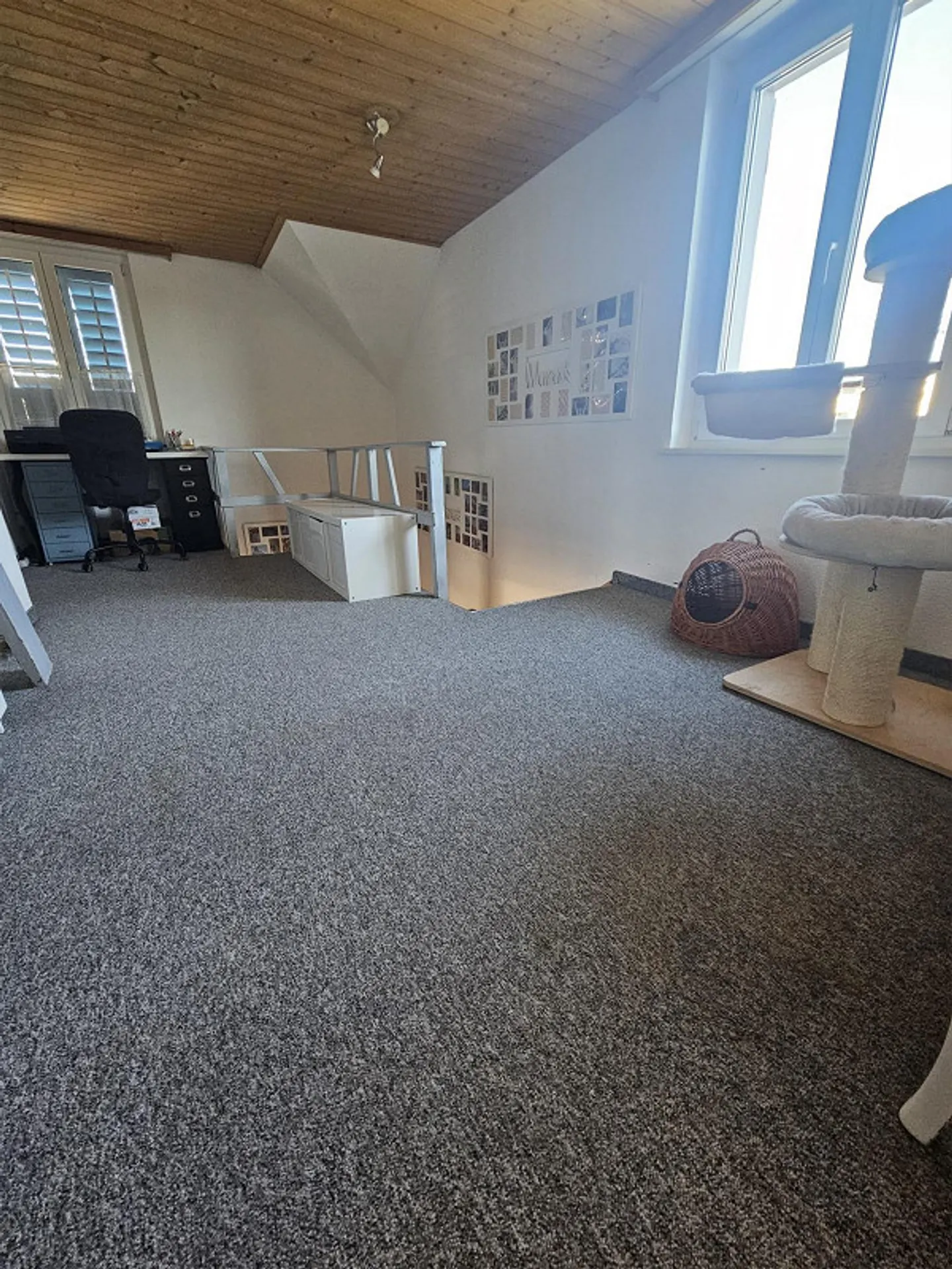 4.5 Room Single Family House with Large Garden - Photo 10 of 17