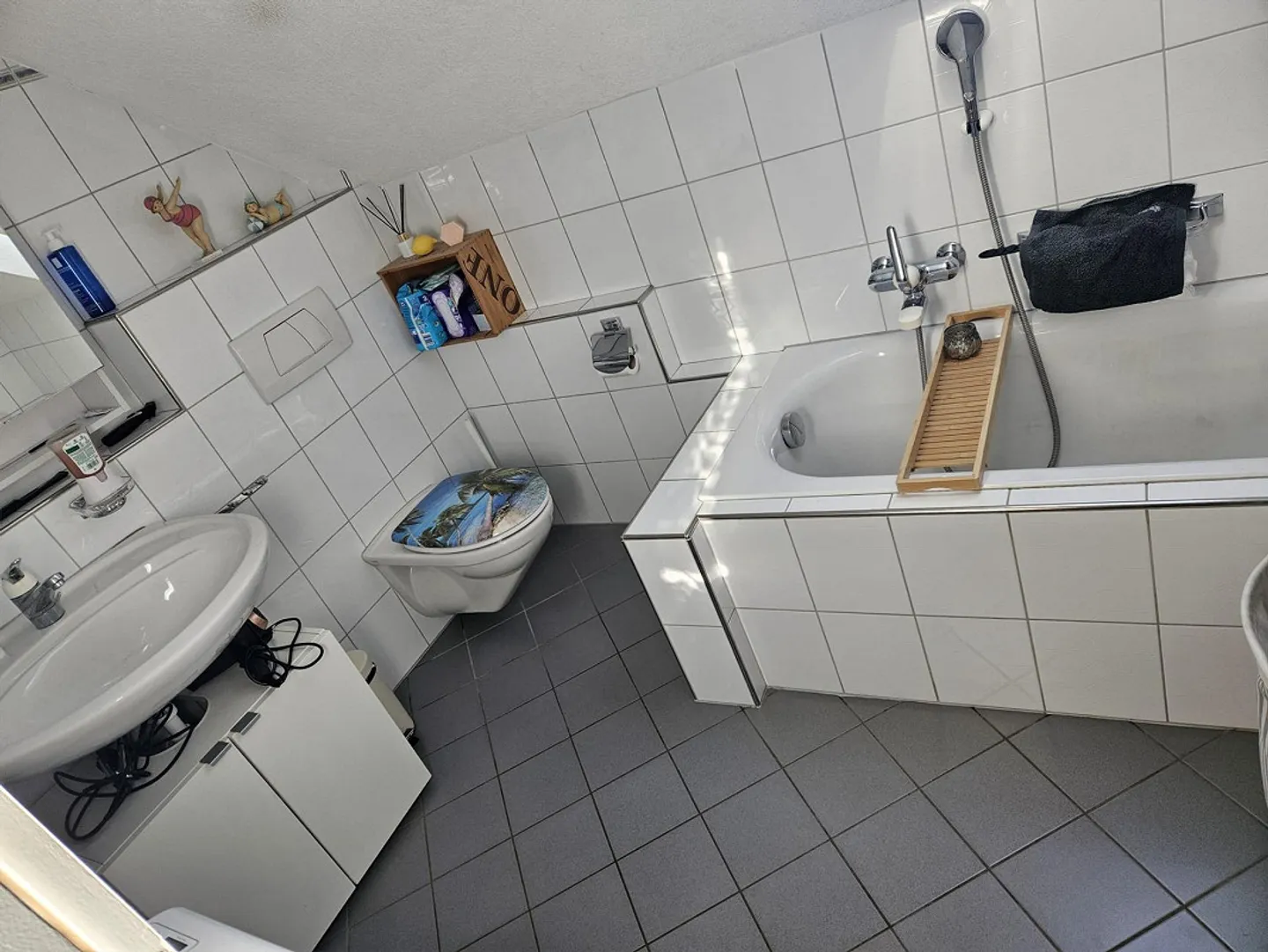 4.5 Room Single Family House with Large Garden - Photo 11 of 17