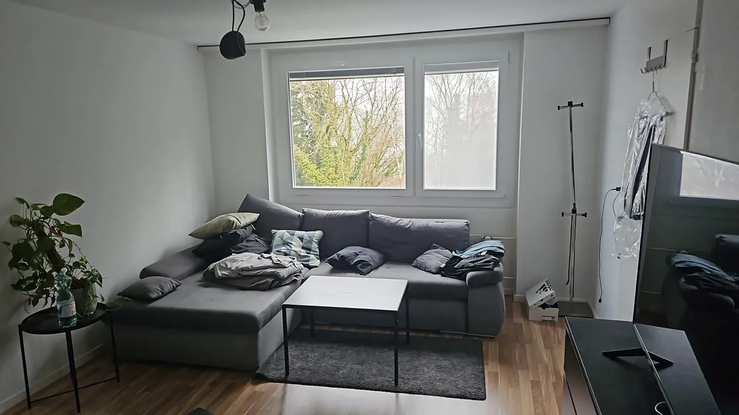 Top Preis Leistung in Rorschacherberg - Foto 1 von 5