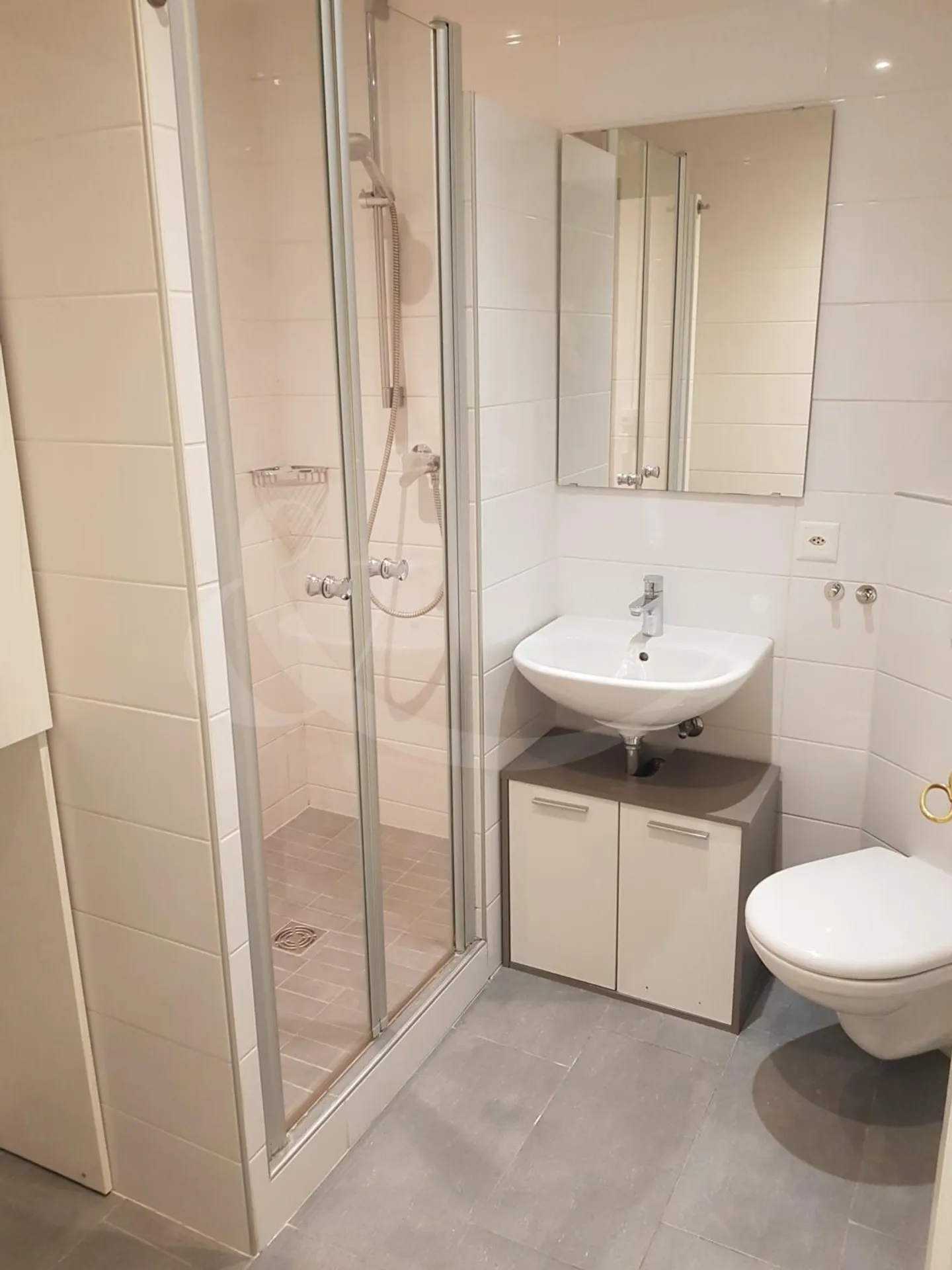 9 Rue des Eaux-Vives, 4 rooms - Photo 8 of 8