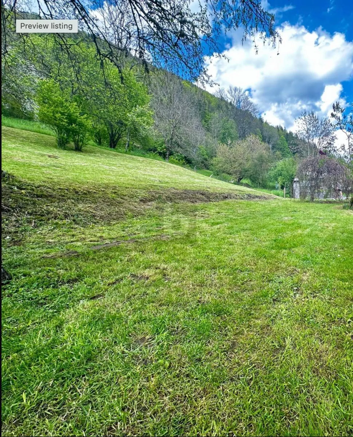 POTENZIALE NEL CUORE DI SONVILIER - Foto 2 di 4