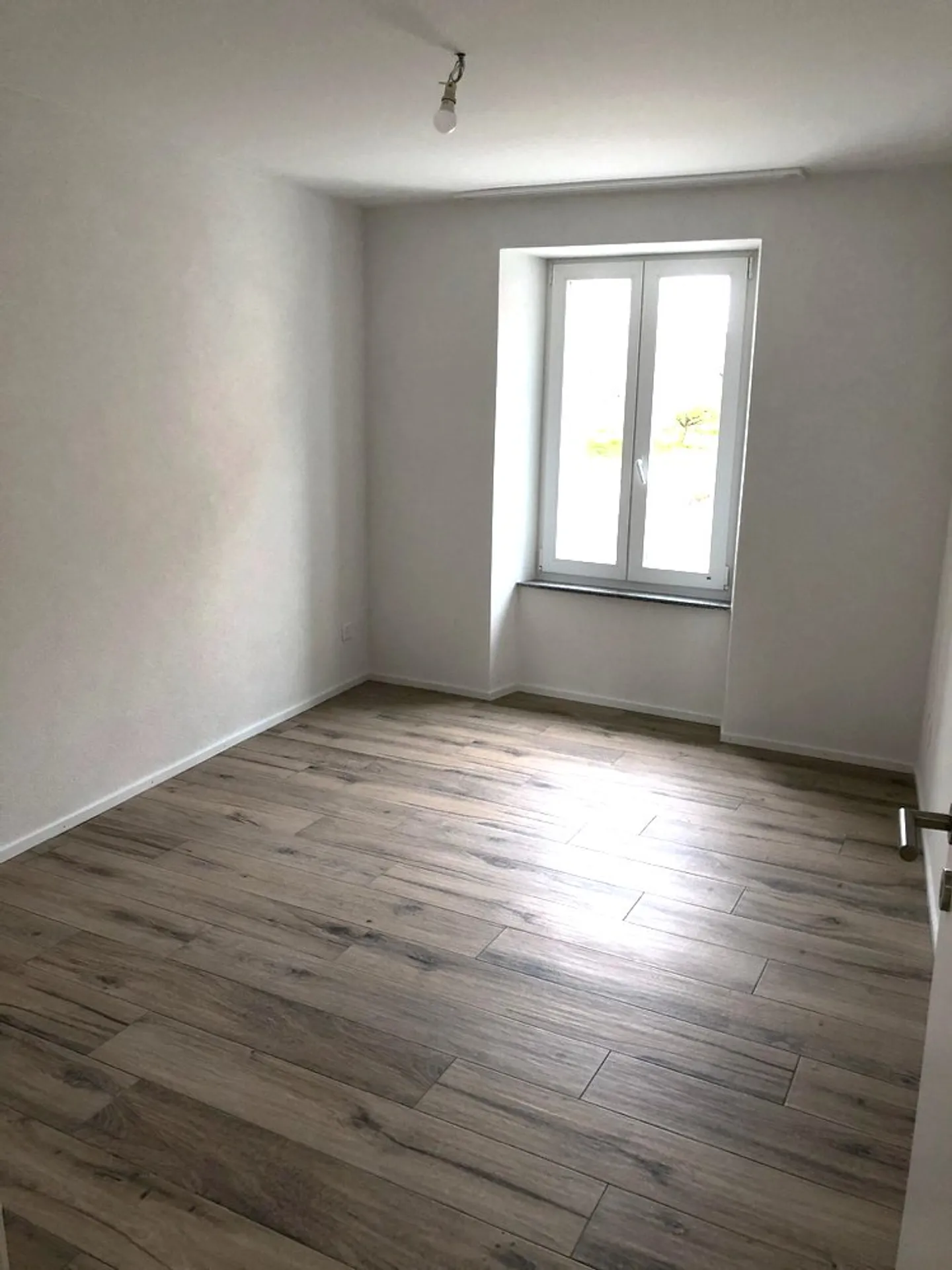 Charming Garden Apartment in Payerne - Photo 4 of 5