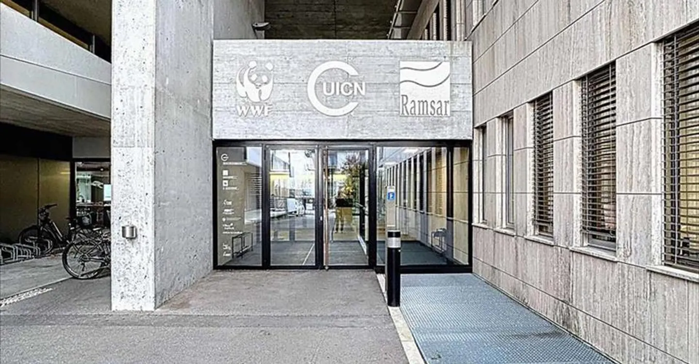 Commercial Space in Gland - Photo 6 of 12