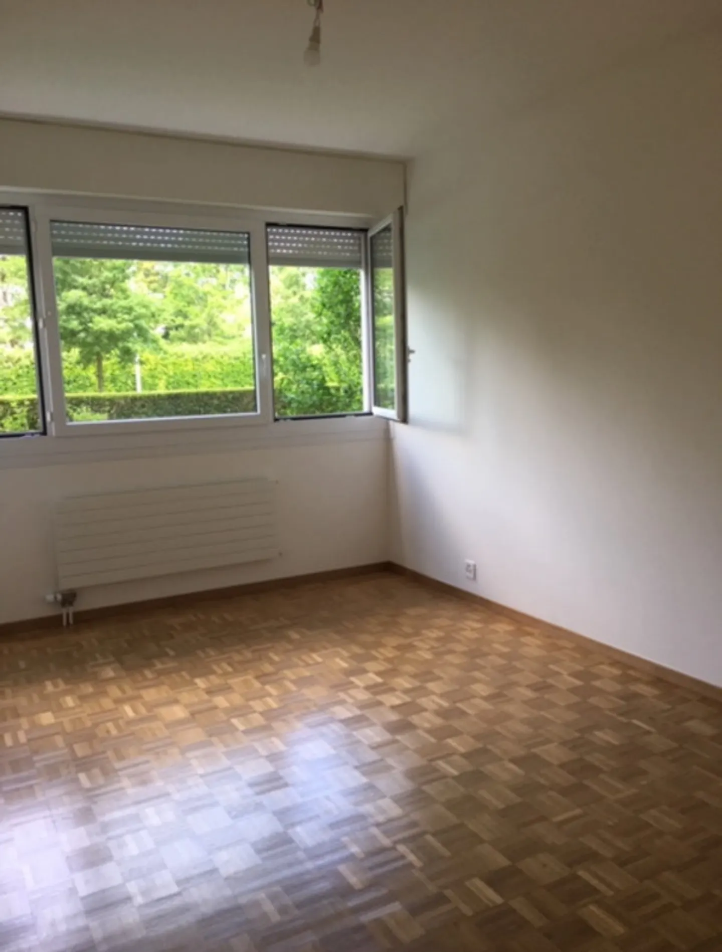 Spacious Apartment with Park View - Photo 7 of 11