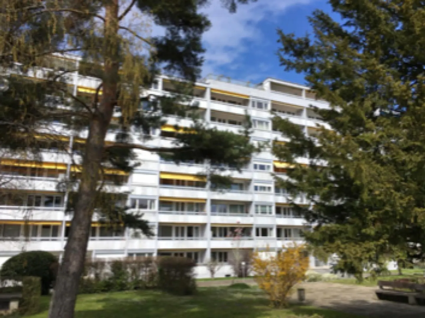 Spacious Apartment with Park View - Photo 10 of 11