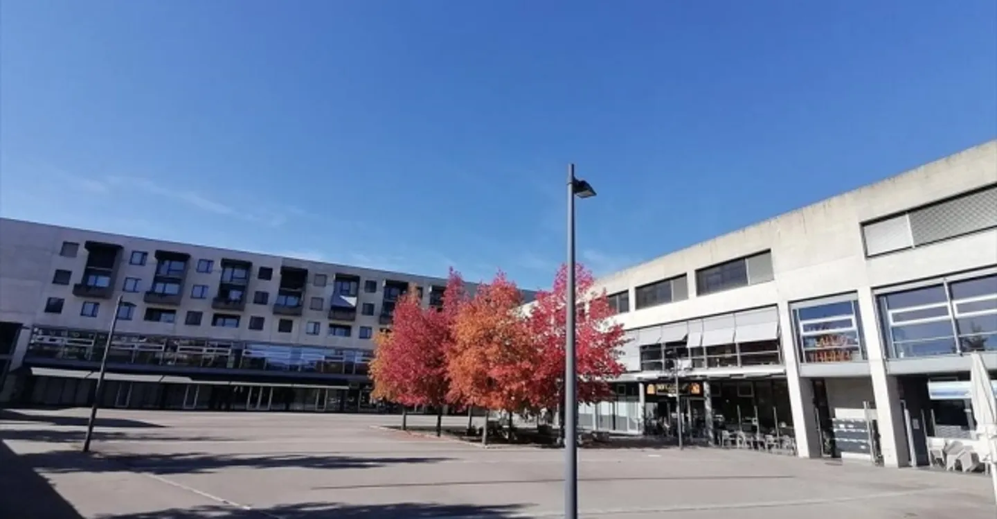 Edificio ad uso misto in affitto - Foto 2 di 4