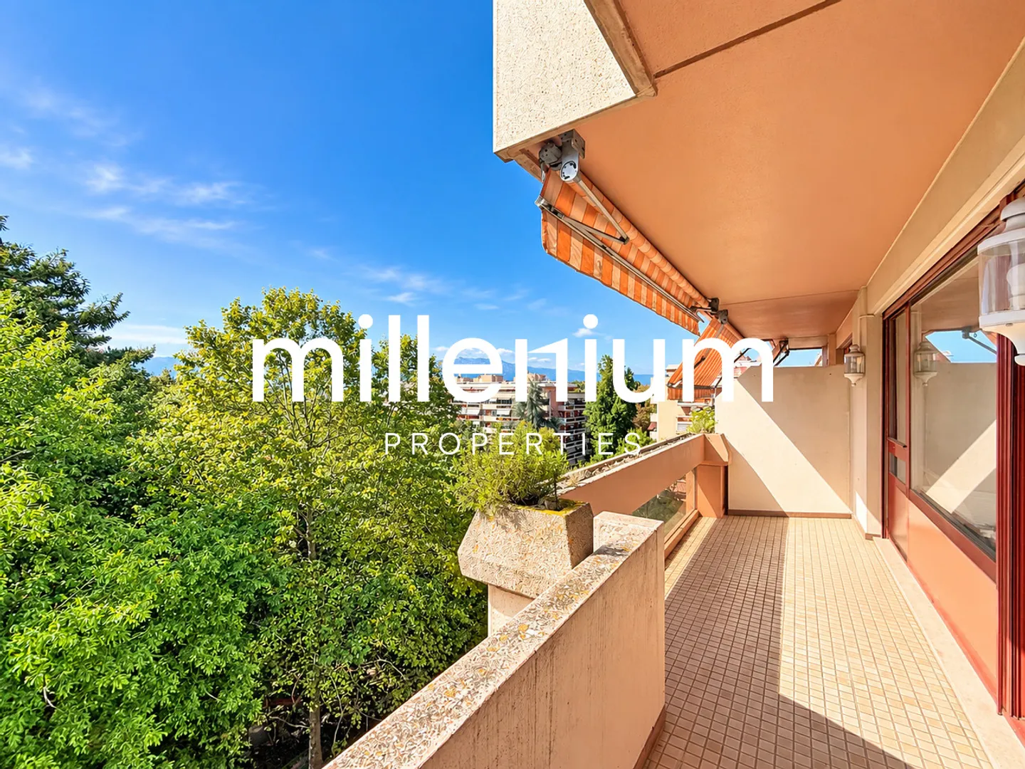 Beautiful apartment facing Parc des Eaux-Vives - Photo 4 of 14