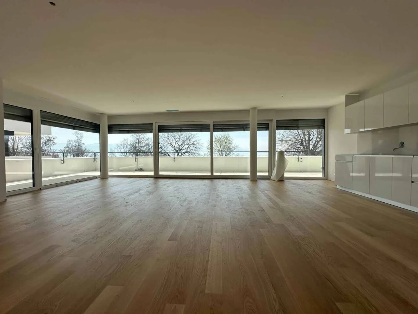 Luxuriöse 4,5-Zimmer-Eckwohnung von 168m2 mit 117m2 Terrasse im 2. Stock - Foto 3 von 13