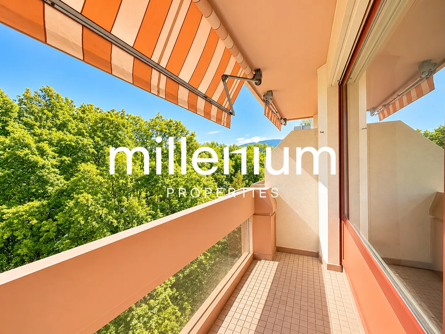 Beautiful apartment facing Parc des Eaux-Vives - Photo 10 of 14