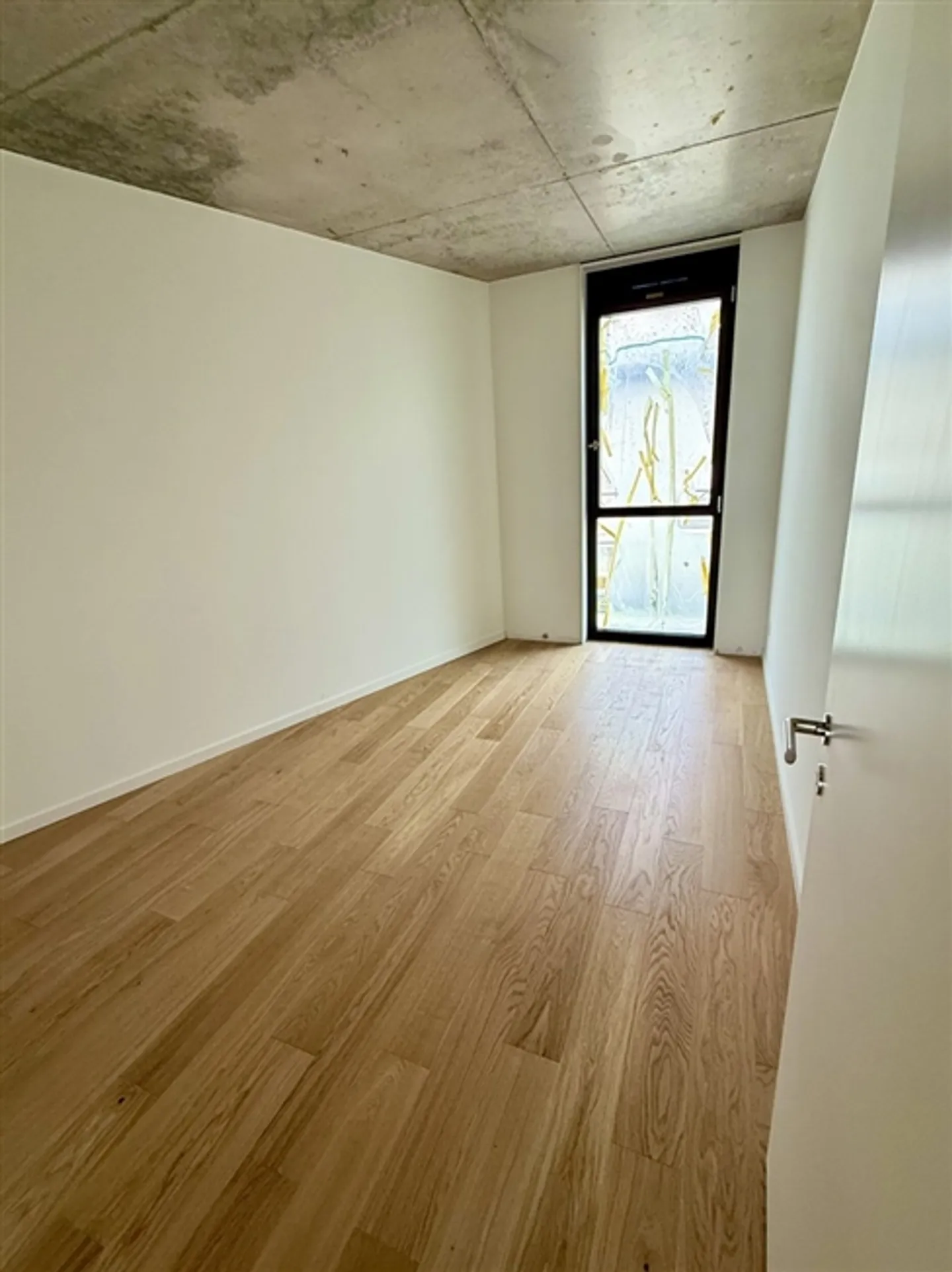 «5 Zimmer NEU & DURCH in Carouge» - Foto 12 von 15