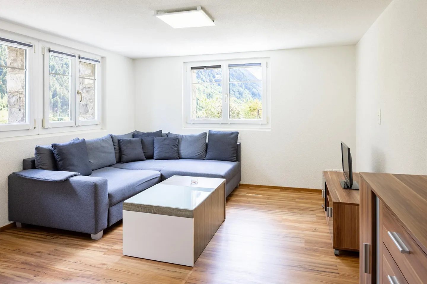 2.5 Room Apartment in Gurtnellen - Photo 7 of 13