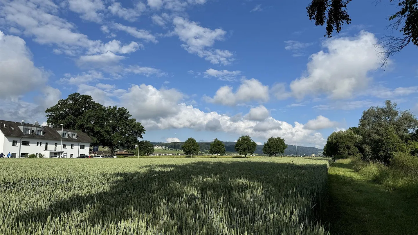 Il tuo condominio nella più bella zona residenziale - Foto 11 di 16