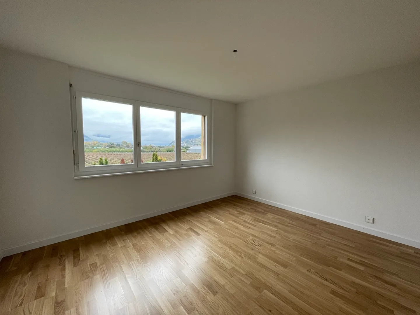 Magnifique appartement rénové 2.5 pièces  - Photo 5 of 7