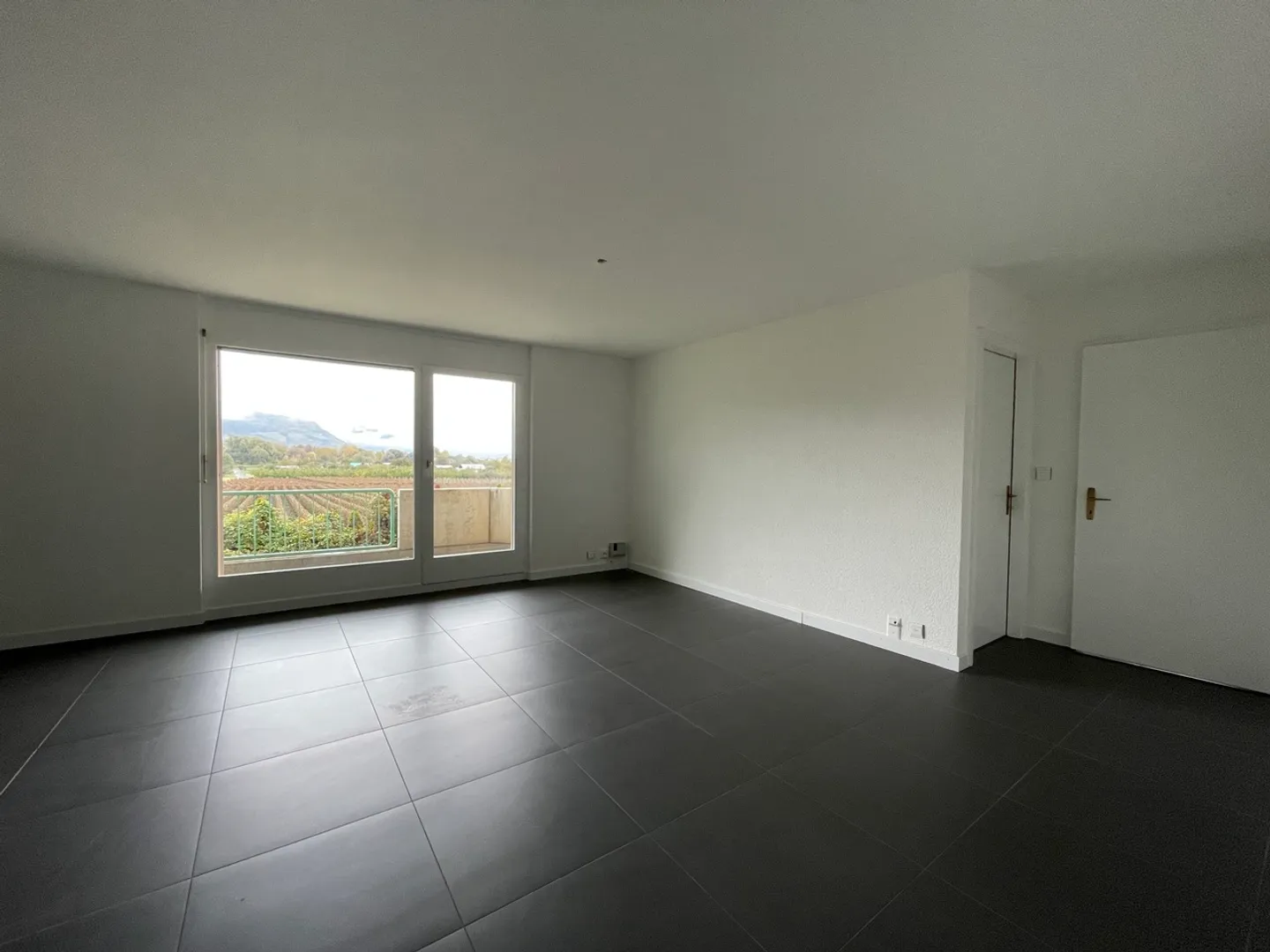Magnifique appartement rénové 2.5 pièces  - Photo 3 of 7