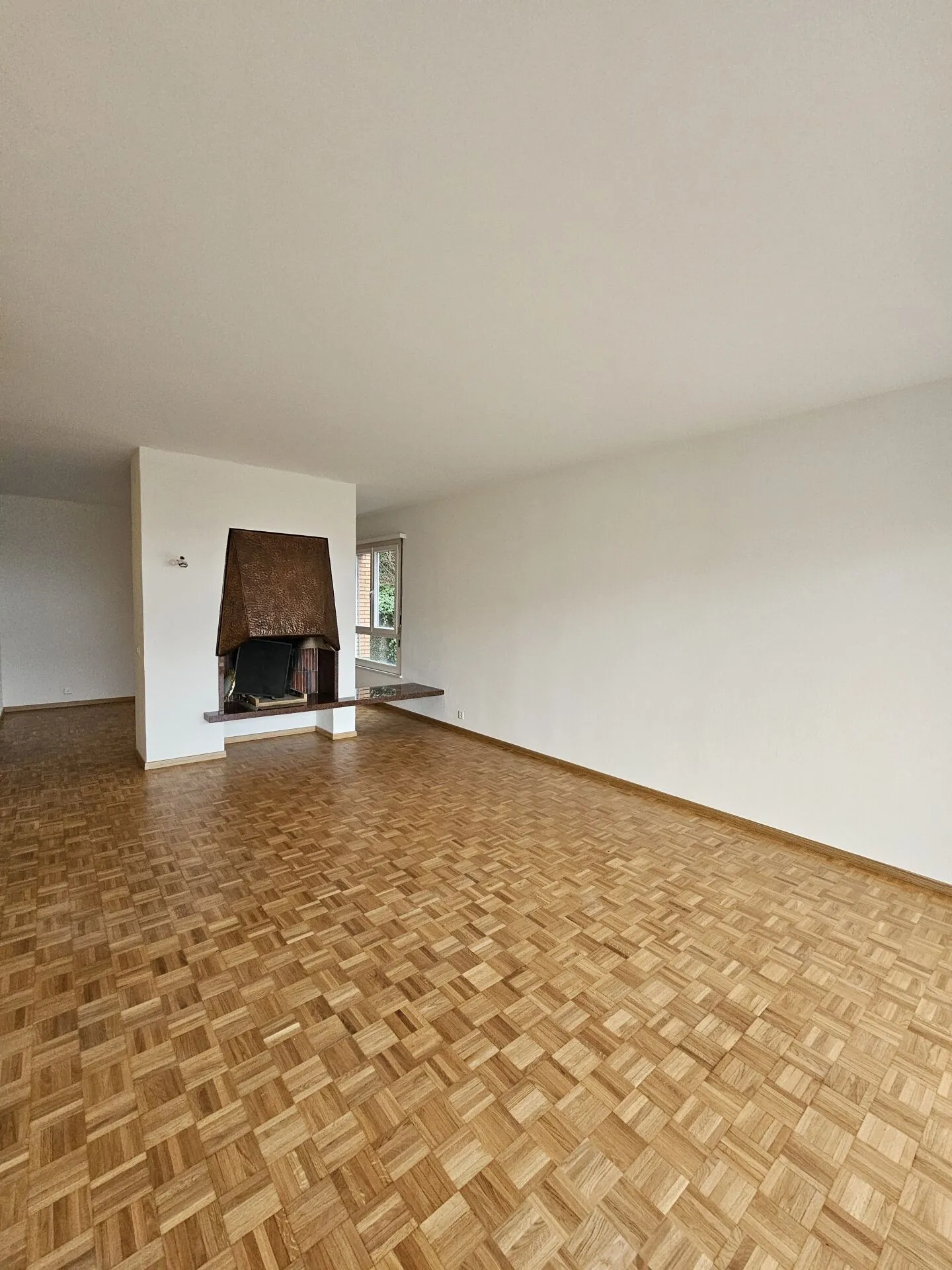 4.5 Rooms Renovated with Large Terrace and Lake View - Photo 4 of 10