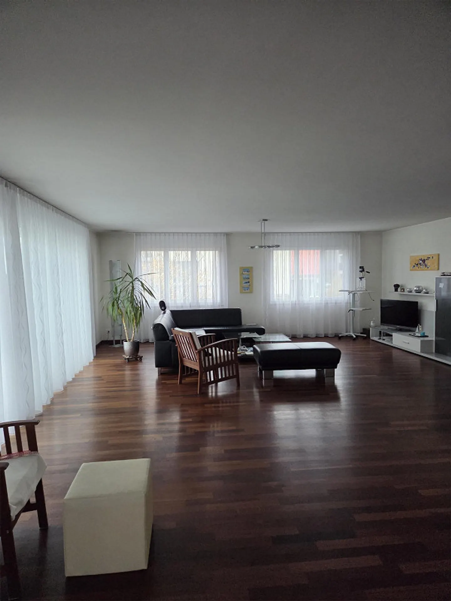 Haus mit Bürofläche in Rain - Foto 4 von 24