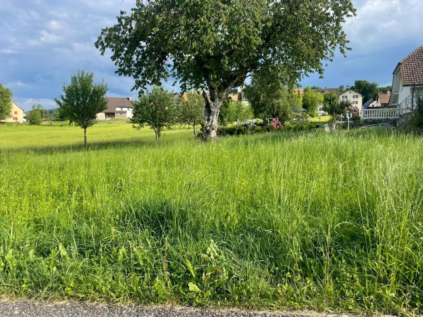 Terreno edificabile - Foto 1 di 1