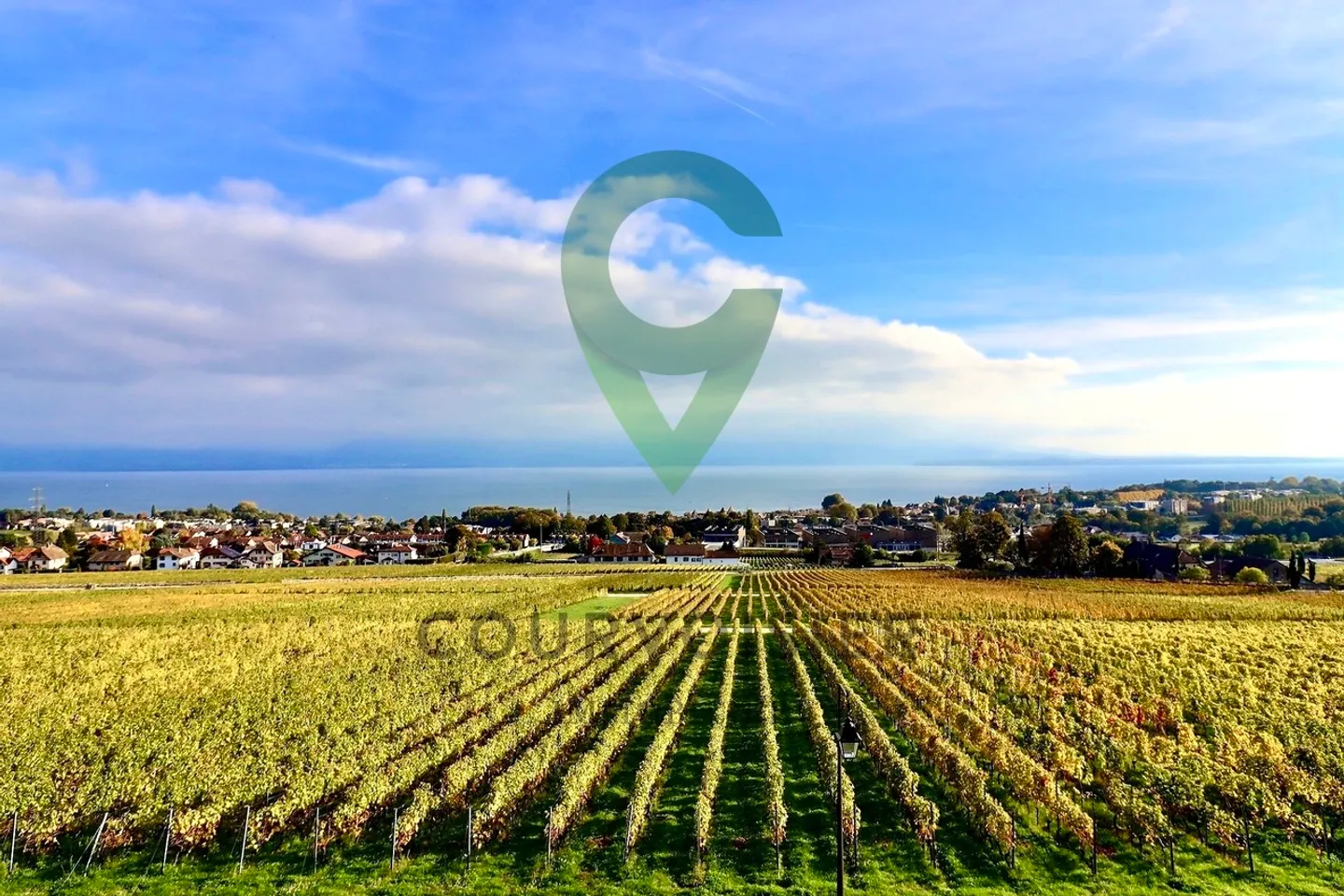 Exceptional panorama over the vineyards, the lake and the Alps - Photo 2 of 13