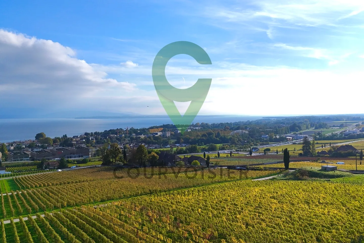 Exceptional panorama over the vineyards, the lake and the Alps - Photo 11 of 13