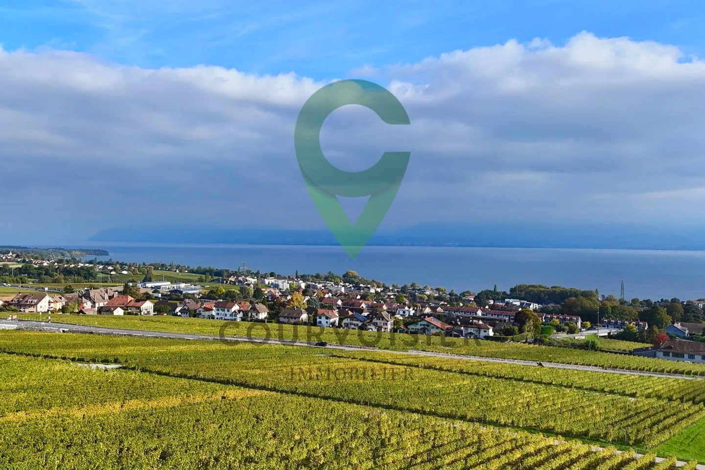 Exceptional panorama over the vineyards, the lake and the Alps - Photo 13 of 13