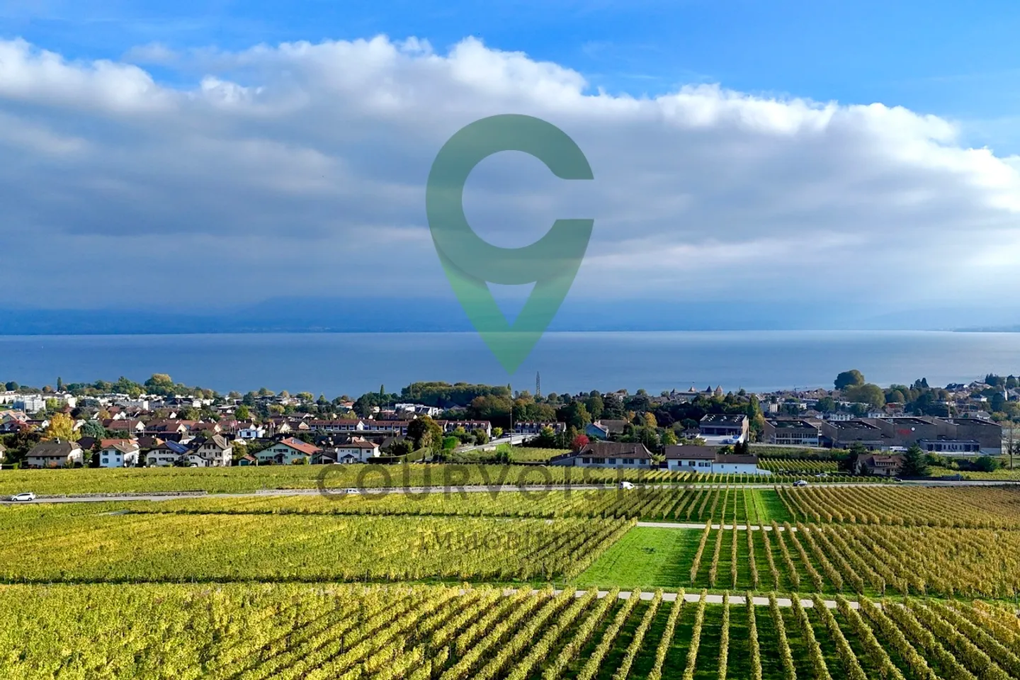 Exceptional panorama over the vineyards, the lake and the Alps - Photo 12 of 13