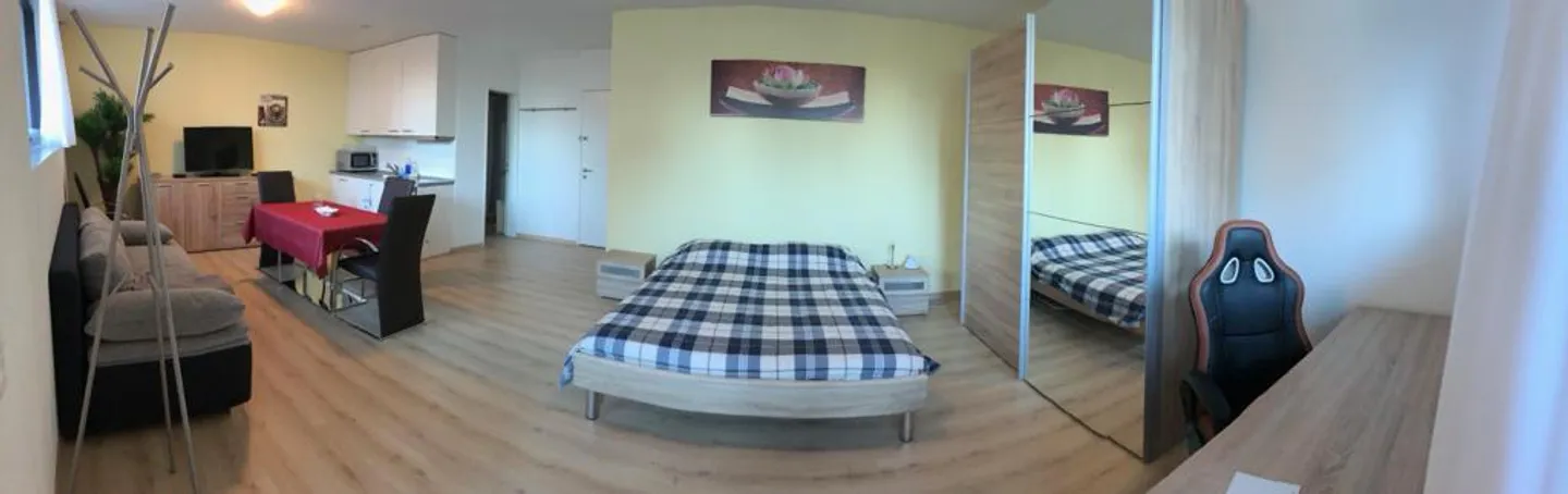 Möblierte 1.5 Zimmer Einliegerwohnung in 8047 Zürich zw. Albisrieden u - Photo 5 sur 8
