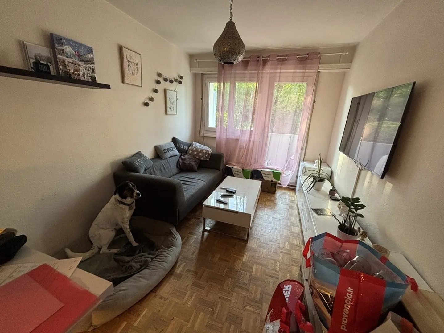 Appartamento Incantevole in Zona Tranquilla - Foto 2 di 5