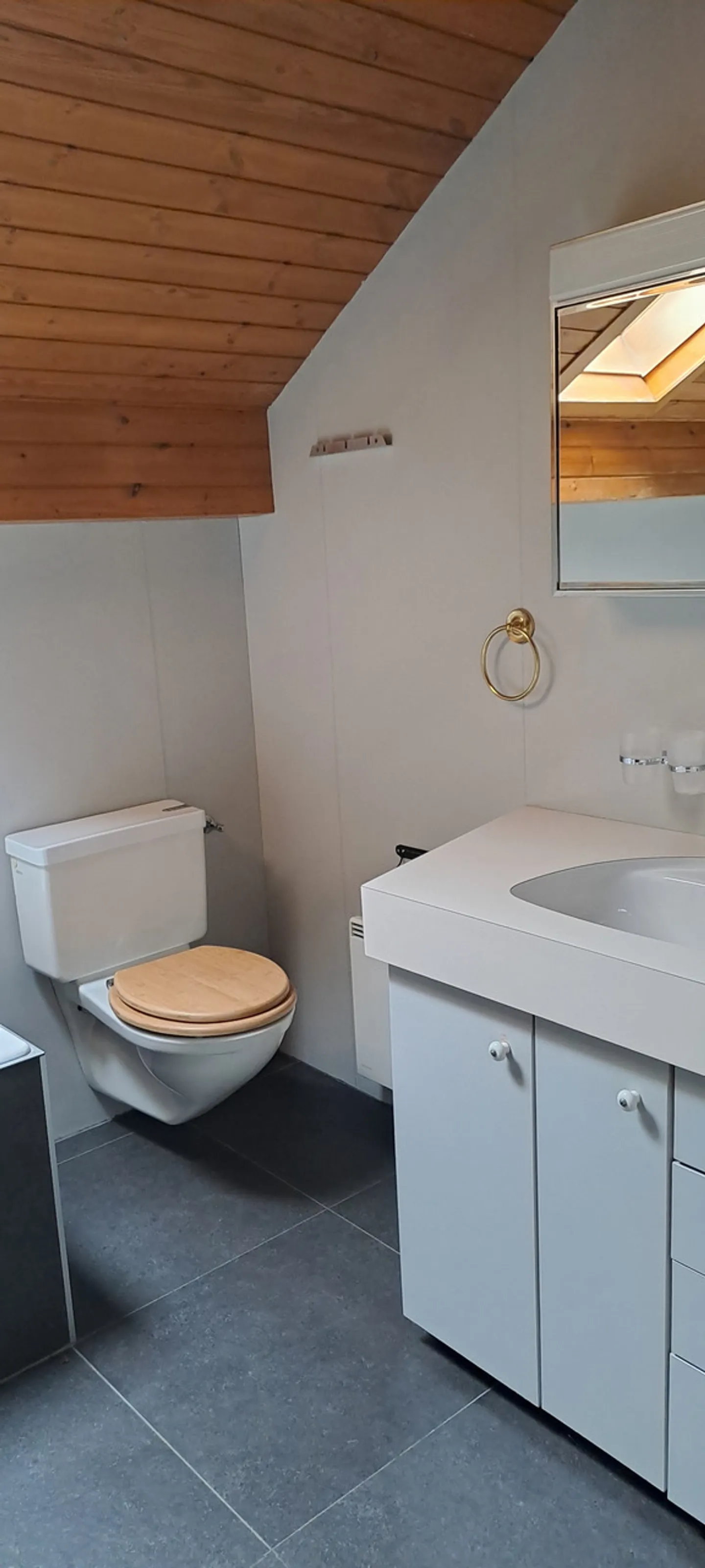 Duplex Apartment in Monthey - Photo 15 of 18