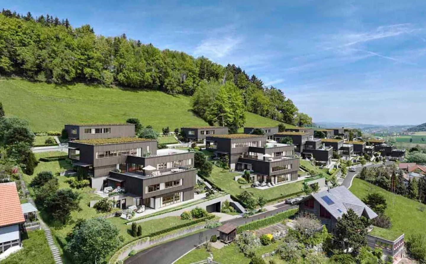 Vue panoramique de rêve sur l'Alpstein avec le Säntis et les Churfirsten - Maison de terrasse de 5,5 pièces - Photo 3 sur 17
