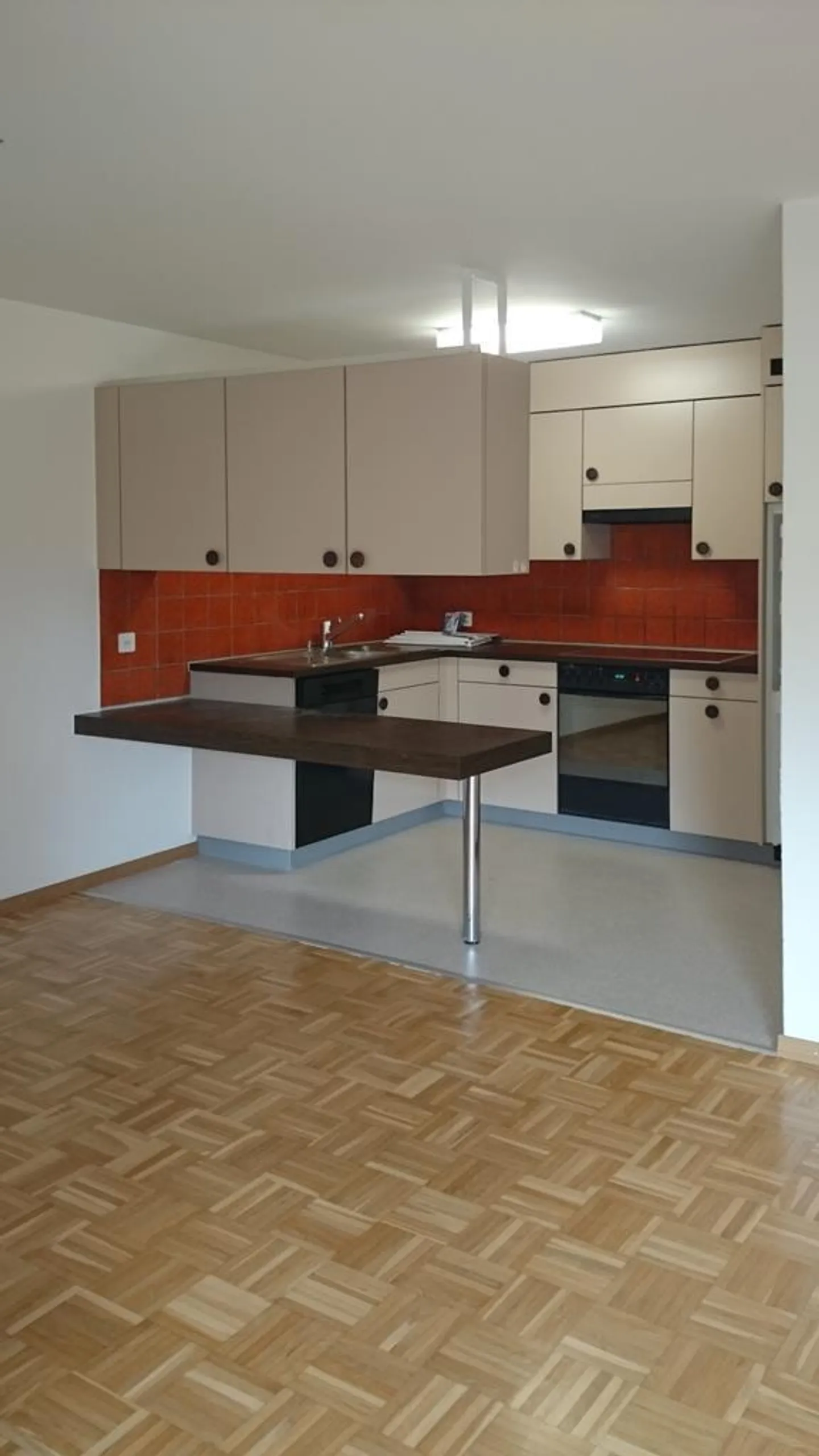 Cozy apartment by the Sihl..... - Photo 2 of 3