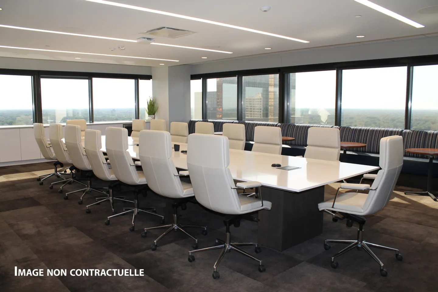 Magnifico Open Space/Ufficio di 240 m2 a Meyrin in AFFITTO - Foto 2 di 6