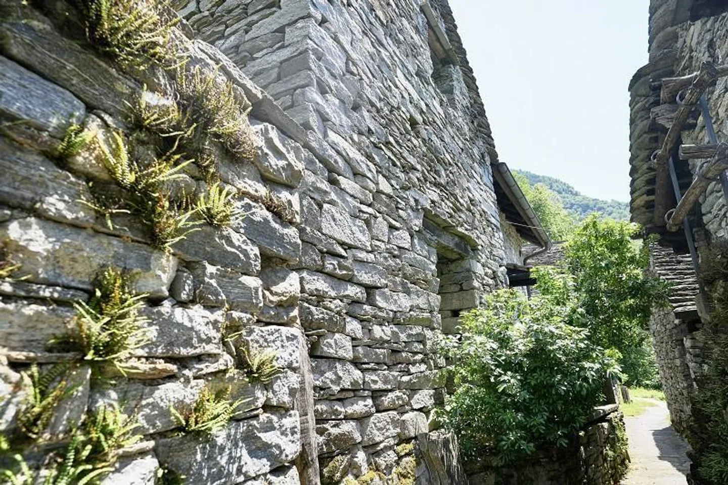 Rustico di 3 stanze da ristrutturare con giardino, molto tranquillo e soleggiato - Foto 16 di 22