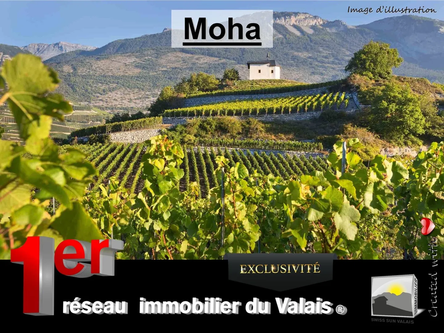 Vigne Charmante à Sierre - Photo 1 sur 3